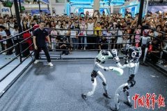 <b>辽宋夏金是一个完整的共</b> 